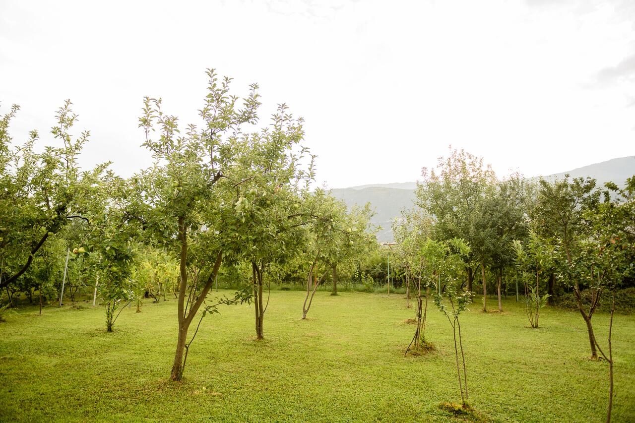 Фермерские дома Village house Vrelo Mandići-22
