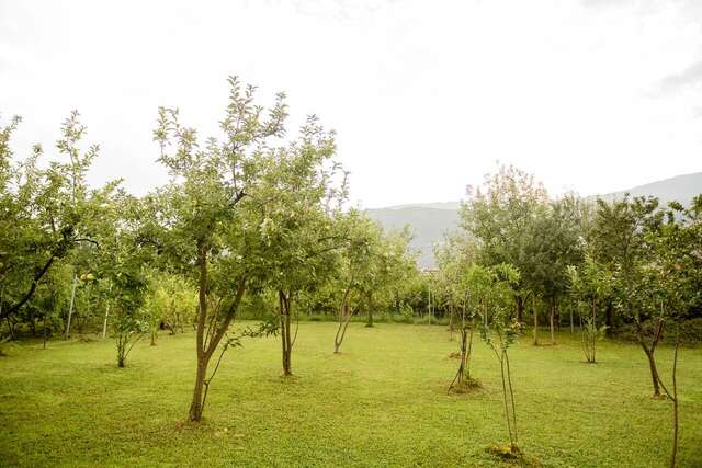 Фермерские дома Village house Vrelo Mandići-21